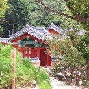 동화사 이미지