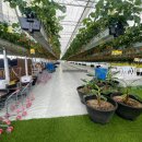 도전자네 농장 이미지