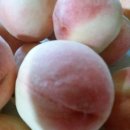 갈촌농장 이미지