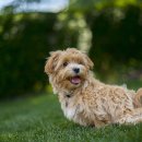 멍이로움 이미지