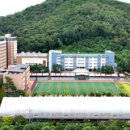 메디컬카운셀러