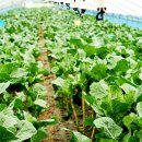 금반농장 이미지