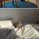 그리니제주 이미지