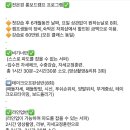 전은경 서프스쿨 롱보드 비기너 캠프 후기🍊
