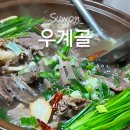 우계2 | 수원 우계골 수육전골 맛집 🍲 몸 보양 제대로 하고 막걸리 무제한까지!