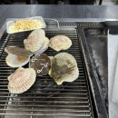 황금조개 튼튼장어 이미지