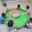 숲속햇살어린이집 이미지