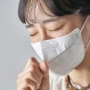 알레그라 이미지