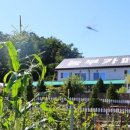 양명농장 이미지