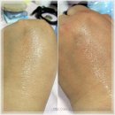 바비 펫 이미지