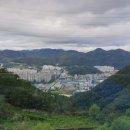 곰내재468 이미지