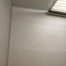 고양이와 함께하는 오렌지 | 망원동 북카페 큐엔에이룸 전시와 책, 커피가 함께하는 공간