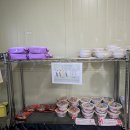 도그펠리스 이미지