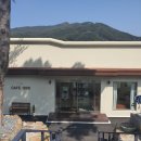 일구구육(1996) 이미지