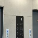 베이비캡쳐 | 만삭촬영 • 베이비파스텔 본점 용인 만삭촬영 계약 후기(가격, 보정본 등)