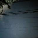 인일약국 | 여행 (1) (feat. 길리T서쪽 / 와하나 보트 탑승 후기 / 길리 선셋 포인트 / 퍼블릿 스노쿨링 후기...
