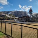 띵킹 독(Thinking Dog) 이미지