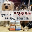 몽펫푸드 이미지