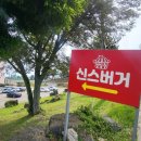 제주도 애월 햄버거 제주 수제 햄버거 신스버거