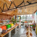 모모의바다 이미지