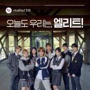 엘리트학생복 데일리안