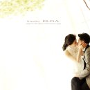 수원-0316 이미지