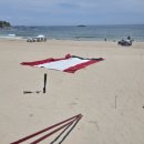 오도리펜션 | 아이랑 포항 오도리 해수욕장 노지캠핑 후기