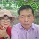 희성농장 이미지