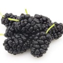 뿌리한약국 이미지