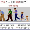 성장 인자, 판시딜 탈모치료제 이미지