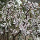 건지공원 이미지