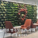 의창도서관 | 창원 명곡도서관 카페애오다 내돈내산 후기