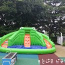 돌고래어린이집 이미지