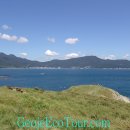 바람의언덕 이미지