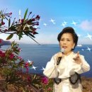 동백아가씨 노래방 이미지