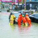 동천본동 이미지