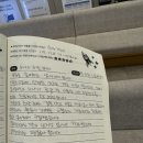 부산/서면 초등학생 드림렌즈 안과 드디어 성공했어요 후기