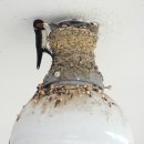 중도보건진료소 이미지