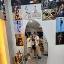 솔레노어 양정 이미지