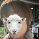 방배역 1번출구 옆 | 단발 레이어드컷&amp;펌, 믿고하는 방배역 미용실 추천! (지연원장님 시술 후기)