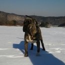 강생이네 이미지