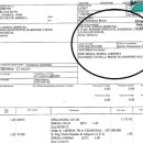 메리알동물병원 이미지