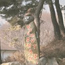 예스예스애견 이미지