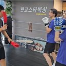 판교스타복싱