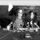 평화티슈 이미지