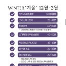 J-060 | 눈이 진짜 많았던 비에이에서 투어, 그리고 와인 바에서 왕비피(왕비싼피노누아) (3일차)