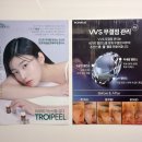 아르케팰리스 이미지