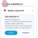 햇살 youth론 보증 실행 &amp; 대출 성공 후기 (경기, 4일 소요)