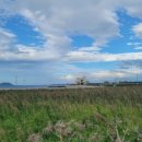 미소인공인중개사사무소 이미지