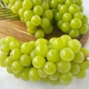 포도 - 성북구 보문로34길 54 | 포도
